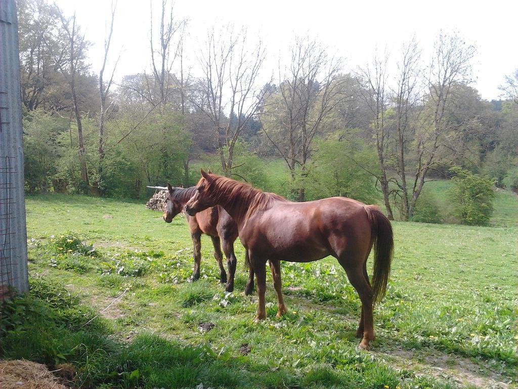 Gite Bella Ebly Oda fotoğraf